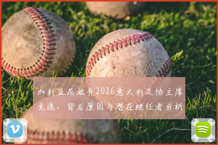 加利亚尼放弃2026意大利足协主席竞选，背后原因与潜在继任者分析，深度解读其对意大利足球格局影响