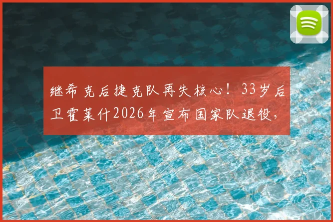 继希克后捷克队再失核心！33岁后卫霍莱什2026年宣布国家队退役，老将离队影响几何？