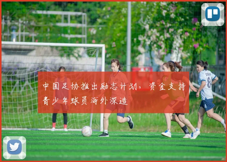 中国足协推出励志计划,资金支持青少年球员海外深造