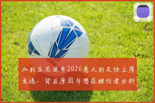 加利亚尼放弃2026意大利足协主席竞选，背后原因与潜在继任者分析，深度解读其对意大利足球格局影响